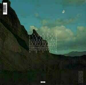LP platňa Goldfrapp - Silver Eye (LP) - 2