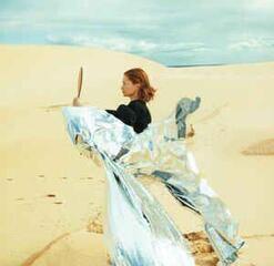 Vinyylilevy Goldfrapp - Silver Eye (LP) - 2