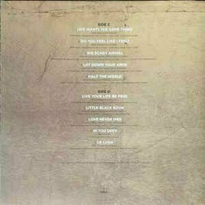 Vinyl Record Belinda Carlisle - Gold (Gold Coloured) (2 LP) - 11