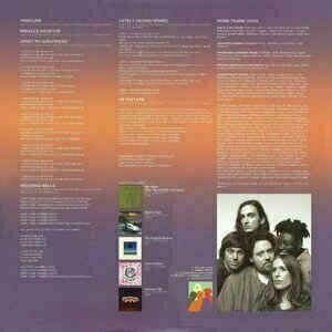 Disco de vinilo Metronomy - Metronomy Forever (2 LP) - 3