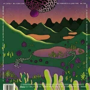 Disco de vinilo Metronomy - Metronomy Forever (2 LP) - 4