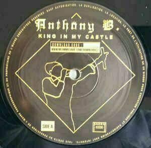 Schallplatte Anthony B - King In My Castle (LP) - 5