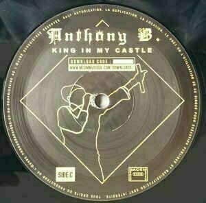 Vinyl Record Anthony B - King In My Castle (LP) - 7