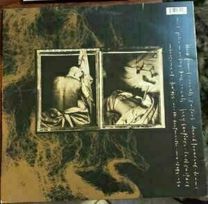 Disco de vinil Pixies - Come On Pilgrim (LP) - 2