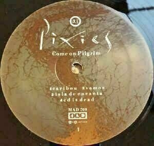 Vinyl Record Pixies - Come On Pilgrim (LP) - 3