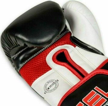 Boxing and MMA gloves DBX Bushido B-2v11a Black-White 10 oz - 9