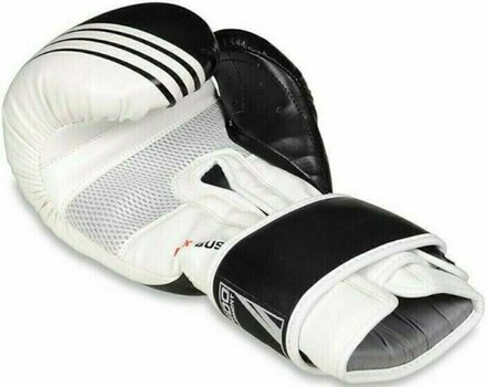 Boxerské a MMA rukavice DBX Bushido B-2v3A Černá-Bílá 12 oz - 2