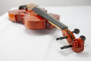 Viola Pasadena GXL01 16 4/4 Viola - 5