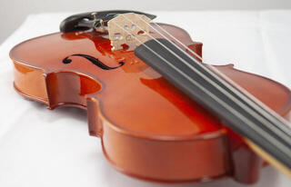 Viola Pasadena GXL01 16 4/4 Viola - 6