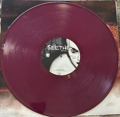 Vinylplate Seether Karma and Effect (Limited Edition) (2 LP) - 2