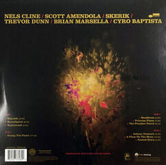 LP ploča The Nels Cline Singers - Share The Wealth (2 LP) - 1