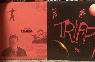 LP ploča Trippie Redd - Pegasus (2 LP) - 2