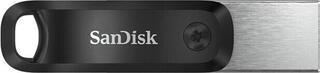USB Flash Drive SanDisk iXpand Go SDIX60N-256G-GN6NE USB Flash Drive 256 GB - 1