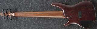 6-snarige basgitaar Ibanez SR506E-BM Brown Mahogany 6-snarige basgitaar - 1