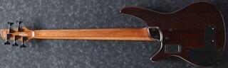 Fretless E-Bass Ibanez SRH505F-NNF Natural Browned Burst Flat Fretless E-Bass - 1