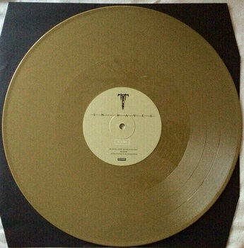 Hanglemez Trivium - In Waves (LP) - 3