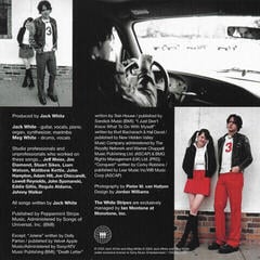 Muzyczne CD The White Stripes - Greatest Hits (CD) - 3