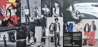 Płyta winylowa The White Stripes - The White Stripes Greatest Hits (2 LP) - 6