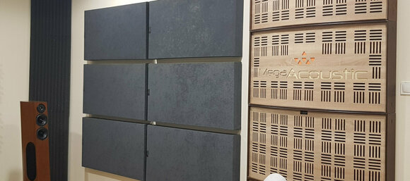 Chłonny panel z drewna Mega Acoustic Fiberstandard60 Szary - 3