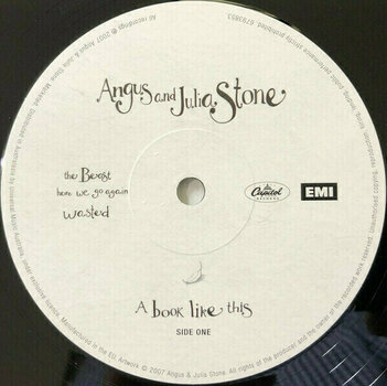 Disco de vinilo Angus & Julia Stone - Book Like This (Gatefold Sleeve) (2 LP) - 3