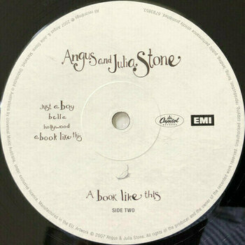 Disco de vinilo Angus & Julia Stone - Book Like This (Gatefold Sleeve) (2 LP) - 5