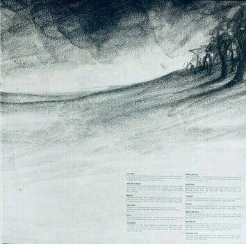 Disco de vinilo Angus & Julia Stone - Book Like This (Gatefold Sleeve) (2 LP) - 6