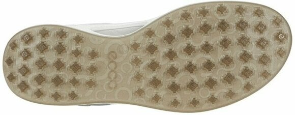 Golfijalatsid meestele Ecco Biom Hybrid Mens Golf Shoes Concrete/Silver Metallic/Concrete 44 - 4