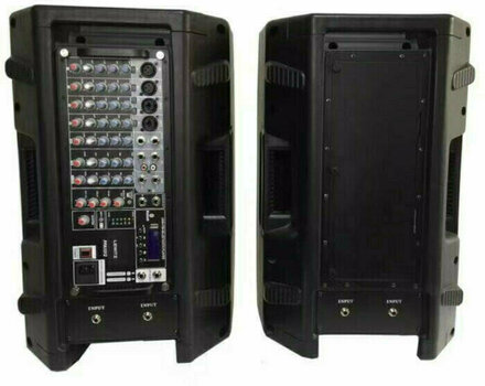 Portable PA System Lewitz PPA1012A 2x250 Watts RMS Portable PA System - 5