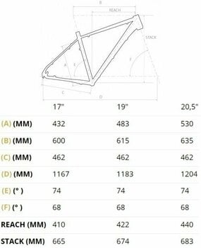 Električno gorsko kolo 4Ever Esword Team Shimano Deore RD-M6100 1x12 Black/Metallic Silver L - 2