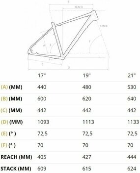 Hardtail MTB 4Ever Firetrack Race Shimano SLX RD-M7000 2x11 Blau-Weiß 17" - 2