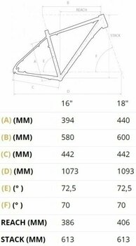 Hardtail MTB 4Ever Ibiza Shimano Deore RD-M4120 2x11 Schwarz-Rose Gold 16" - 2