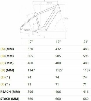 Rower trekkingowy / miejski 4Ever Mercury Sport Trek Shimano Deore RD-M5120 1x10 Czarny-Niebieski 17" - 2