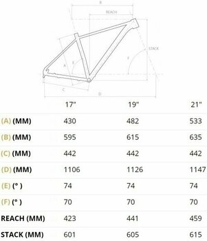 Hardtail Bike 4Ever Prodigy Team Shimano XT RD-M8100 1x12 Titan-Metallic Silver 19" - 2
