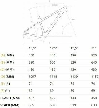 Hardtail MTB 4Ever Scanner Team Shimano XT RD-M8100 1x12 Schwarz-Gold 21" - 2