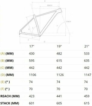 Hardtail fiets 4Ever Trinity Race Shimano XT RD-M8100 1x12 Zwart-Metallic Silver 19" - 2