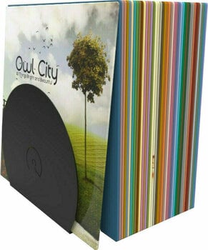 Stalo vinilo plokštelių laikiklis Audivisions Omega - 5