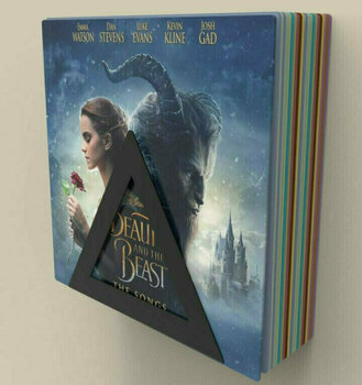 Seinale paigaldatud vinüülplaatide hoidja Audivisions Delta WM - 5