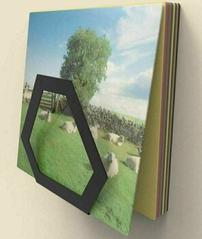 Seinale paigaldatud vinüülplaatide hoidja Audivisions Hexa WM - 4