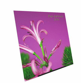 Support de table pour disques LP
 Audivisions Dynamic Desktop Support de table pour disques LP - 4