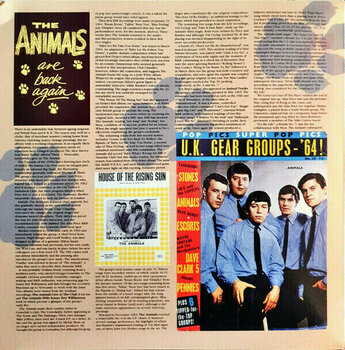 LP deska The Animals - Complete Animals (Blue Coloured) (3 LP) - 6