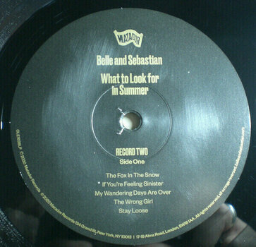Vinylskiva Belle and Sebastian - What To Look For In Summer (2 LP) - 3