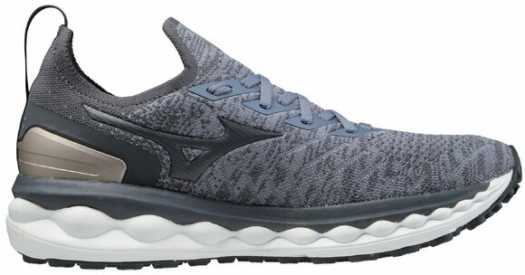 Maantee jooksujalatsid Mizuno Wave Sky Neo Folkstone Gray/Ebony/Platinum Gold 44/9,5 - 2