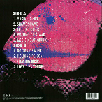 Schallplatte Foo Fighters - Medicine At Midnight (LP) - 2