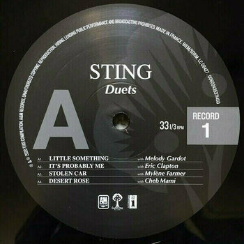 Disc de vinil Sting - Duets (180g) (2 LP) - 2