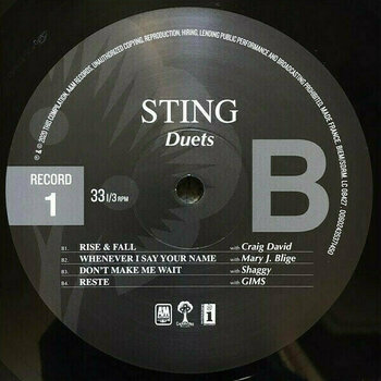 Vinyl Record Sting - Duets (180g) (2 LP) - 3