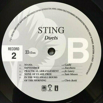 Disco in vinile Sting - Duets (180g) (2 LP) - 5