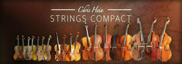 Logiciel de studio Instruments virtuels Best Service Chris Hein Strings Compact (Produit numérique) - 2