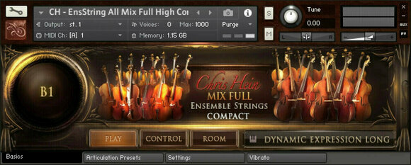 Virtuális hangszer Best Service Chris Hein Strings Compact (Digitális termék) - 4