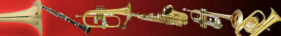 Program VST Instrument Studio Best Service Chris Hein Horns Pro Complete (Produs digital) - 3