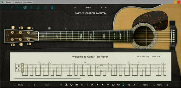 Software de estúdio de instrumentos VST Ample Sound Ample Guitar M - AGM (Produto digital) - 7